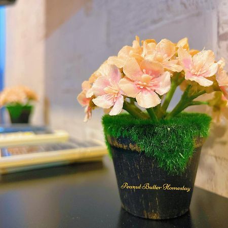 Peanut Butter Homestay #Trefoil Setia City Setia Alam Luaran gambar