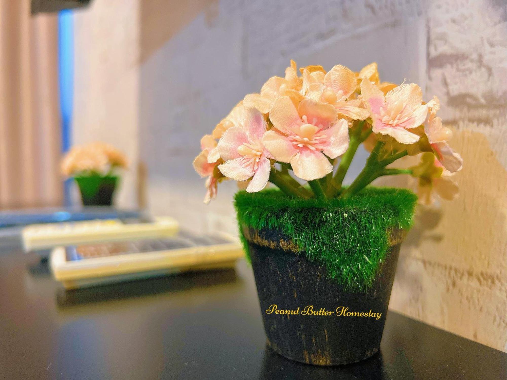 Peanut Butter Homestay #Trefoil Setia City Setia Alam Luaran gambar